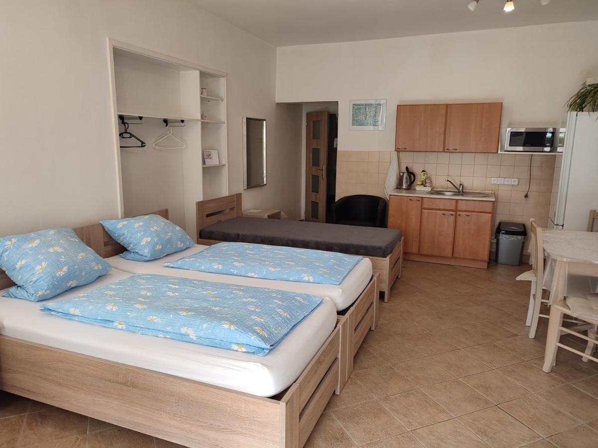 Pension Dana Karaskova Appartement Kutná Hora Buitenkant foto