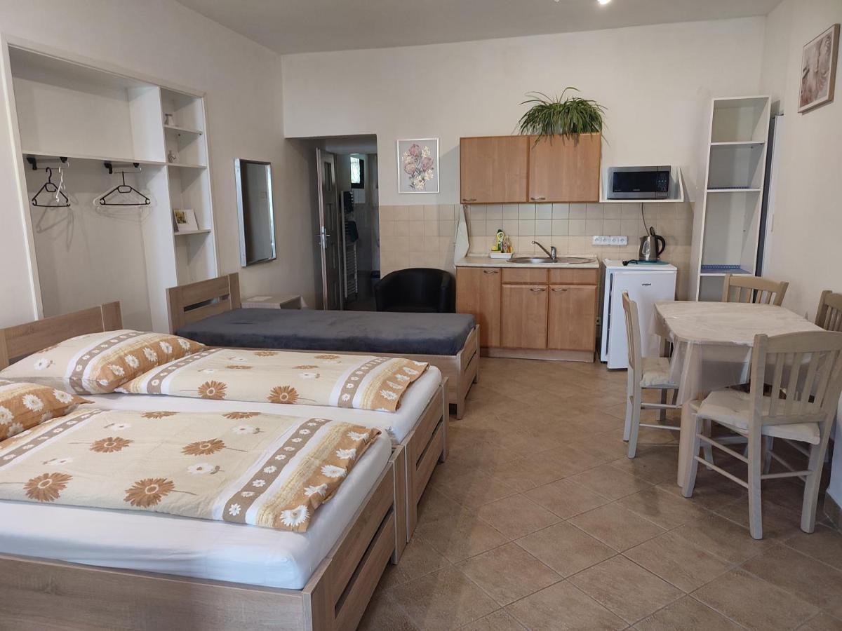 Pension Dana Karaskova Appartement Kutná Hora Buitenkant foto