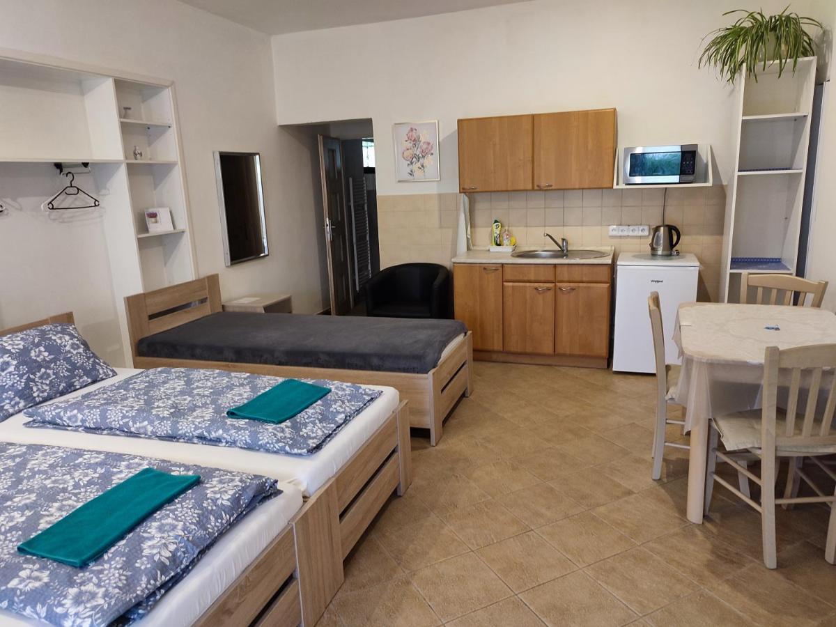 Pension Dana Karaskova Appartement Kutná Hora Buitenkant foto