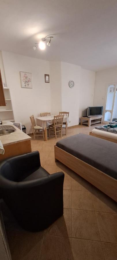 Pension Dana Karaskova Appartement Kutná Hora Buitenkant foto