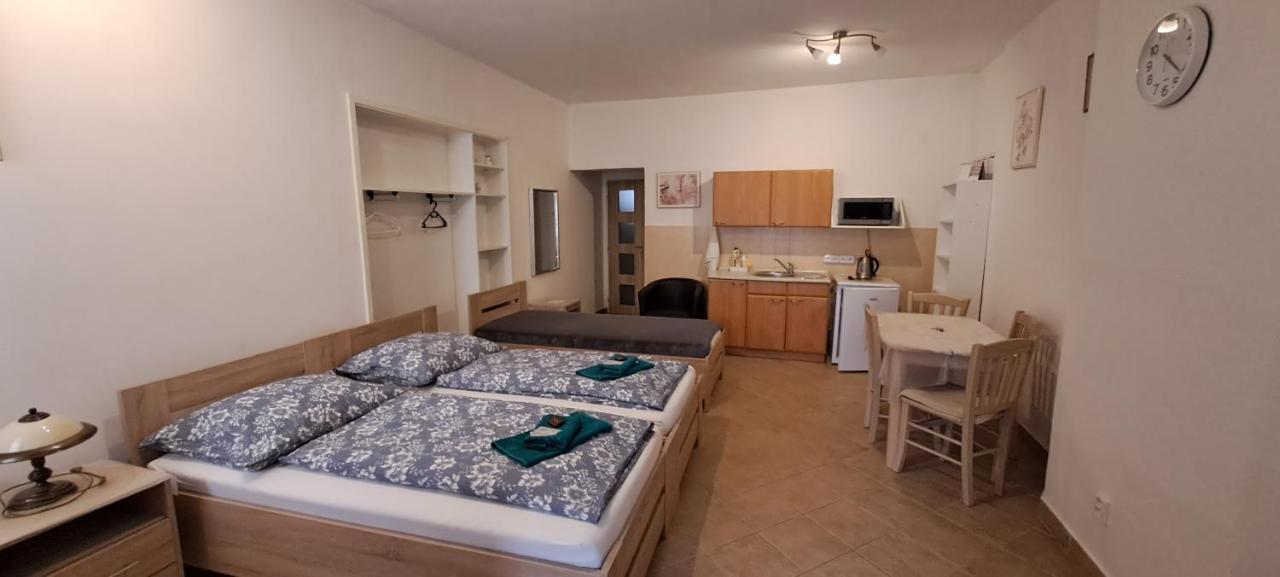 Pension Dana Karaskova Appartement Kutná Hora Buitenkant foto