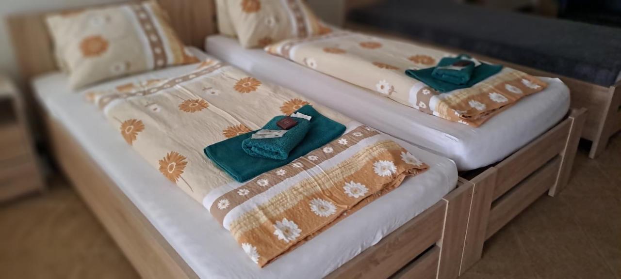 Pension Dana Karaskova Appartement Kutná Hora Buitenkant foto
