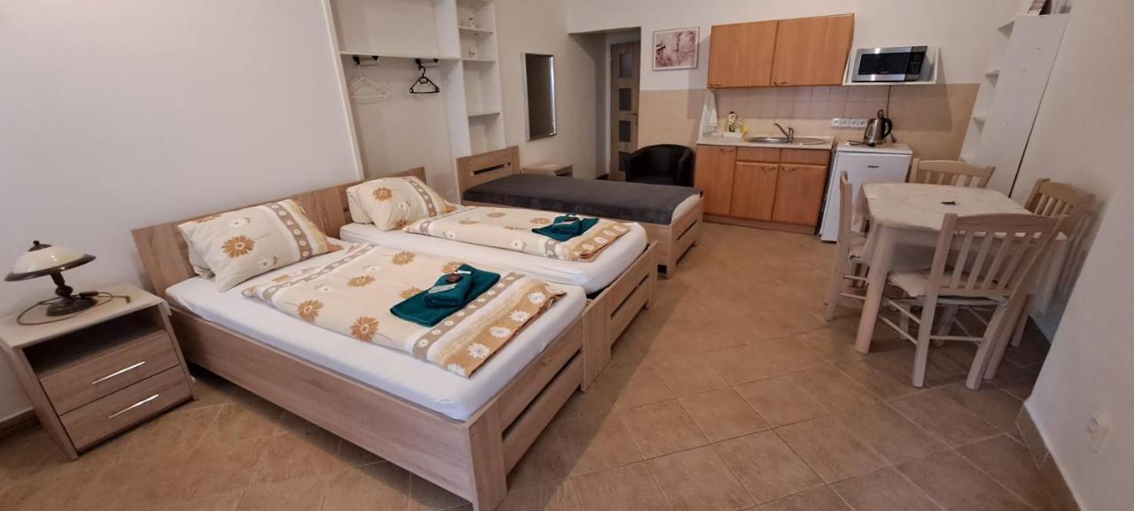 Pension Dana Karaskova Appartement Kutná Hora Buitenkant foto