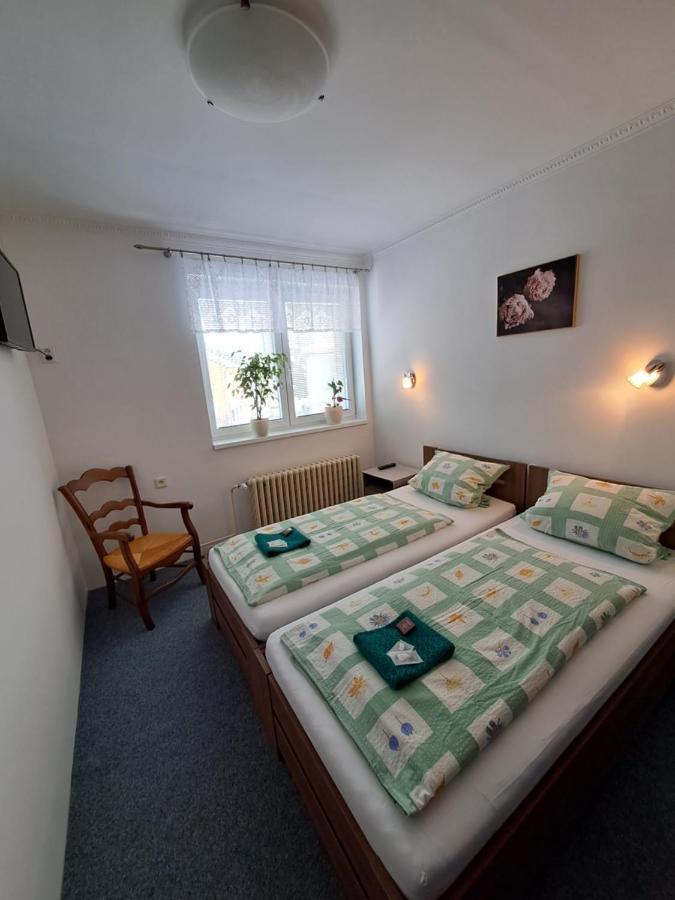 Pension Dana Karaskova Appartement Kutná Hora Buitenkant foto