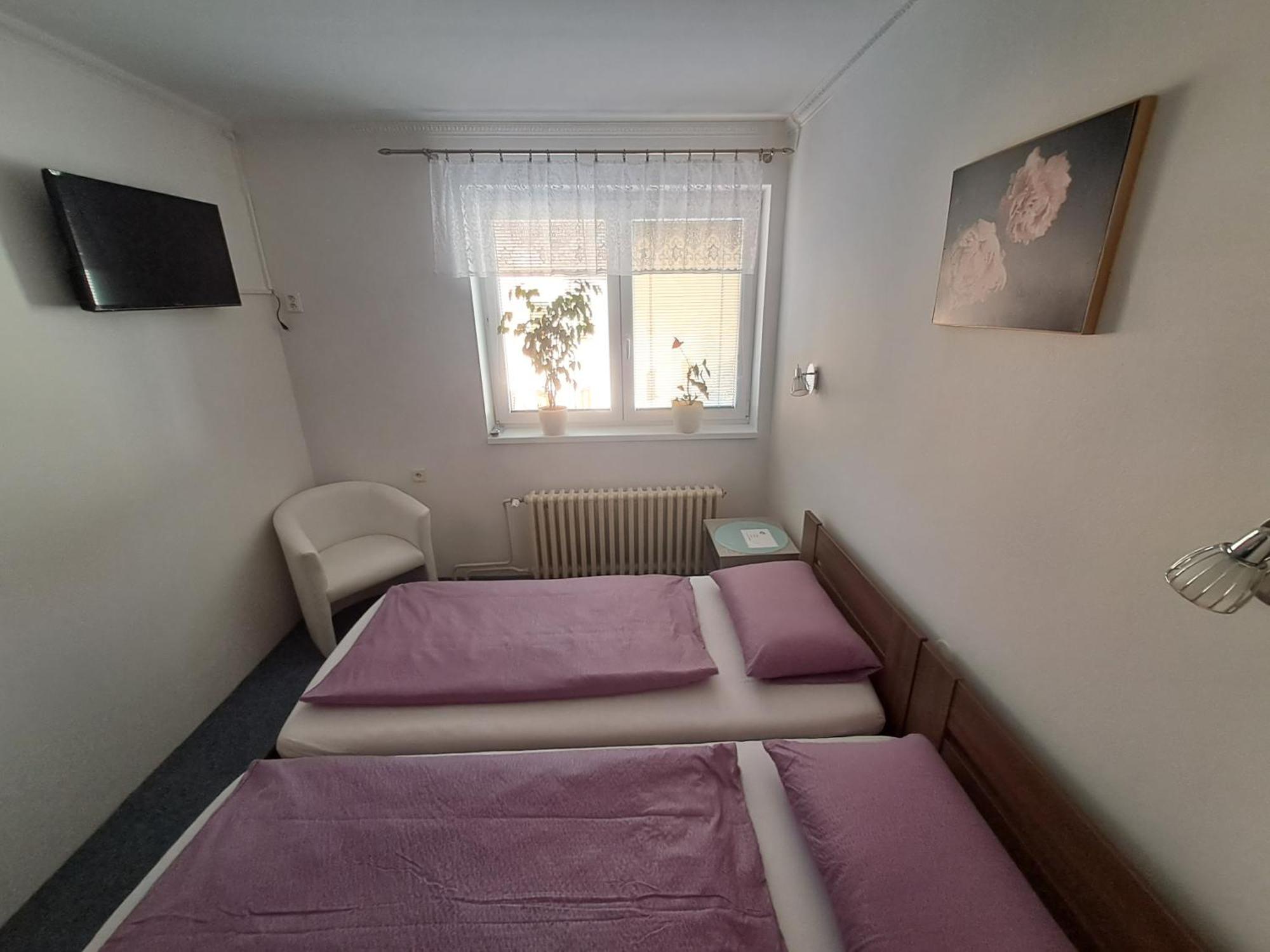 Pension Dana Karaskova Appartement Kutná Hora Buitenkant foto