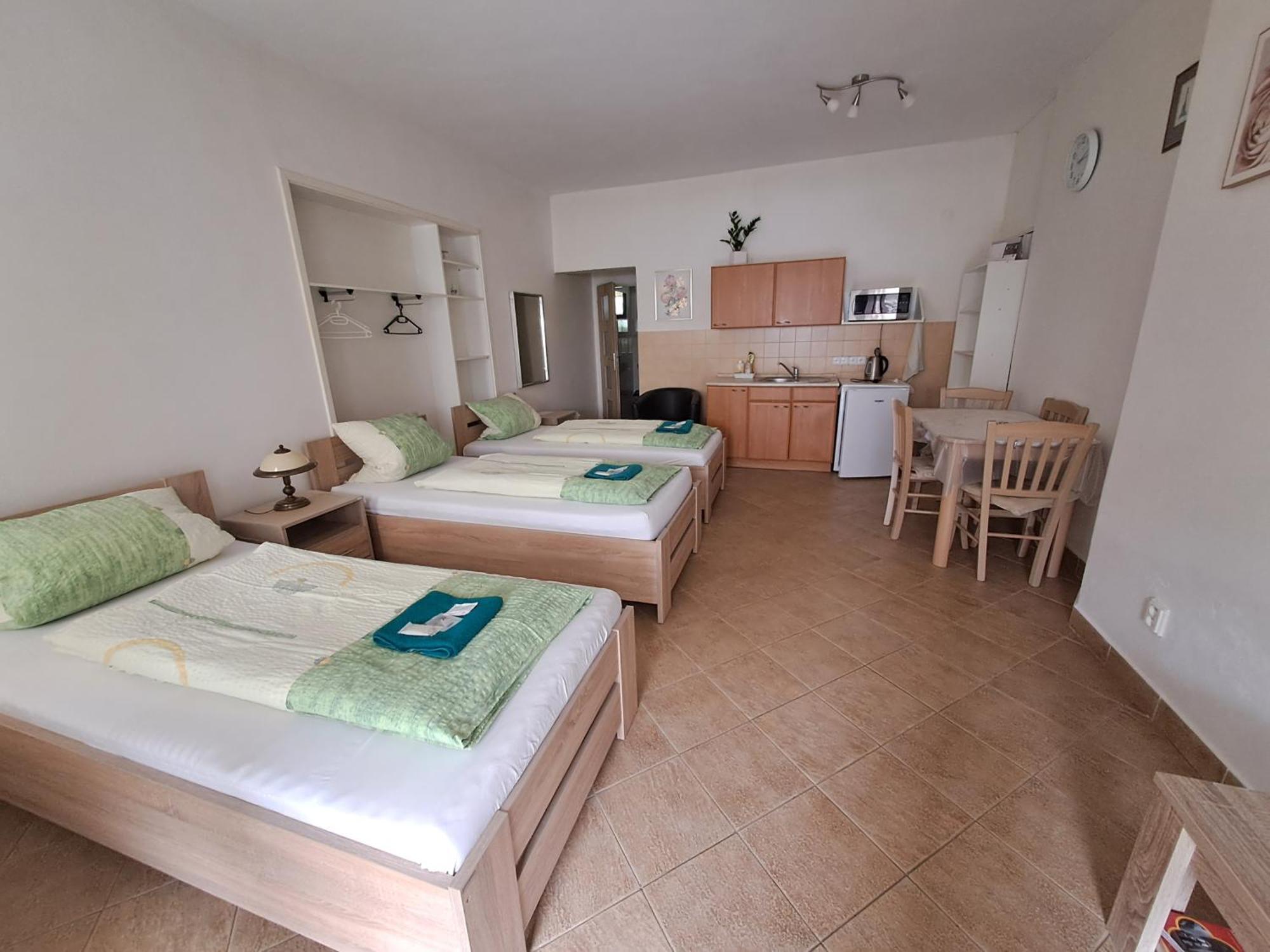Pension Dana Karaskova Appartement Kutná Hora Buitenkant foto